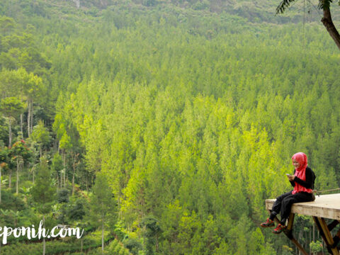 Camping the lodge maribaya , maribaya , the lodge, tour bandung, wisata lembang