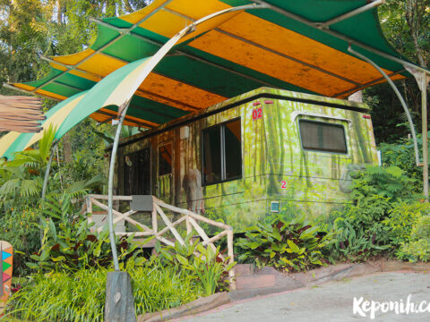 review menginap di safari lodge, travel blogger, blogger review, traveloka review